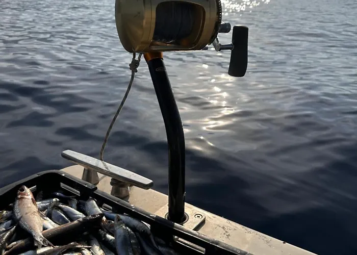 Villa Tribalj Villa Tribalj (Primorsko-Goranska)
