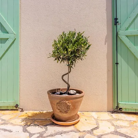 Villa Tribalj فيلة