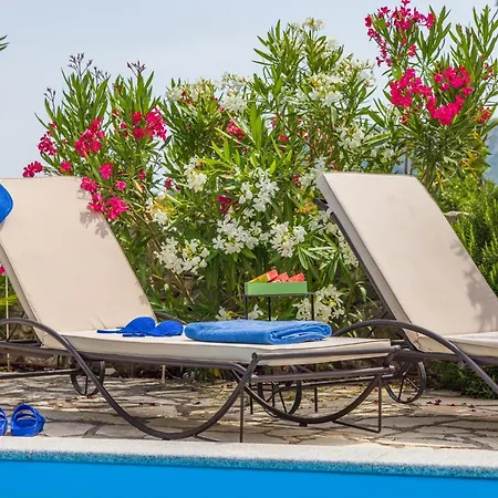 Villa Tribalj فيلة *