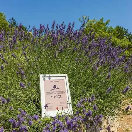 Villa Tribalj فيلة *