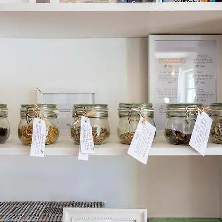 Villa Tribalj Tribalj (Primorsko-Goranska)