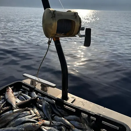 Villa Tribalj فيلة Tribalj (Primorsko-Goranska)