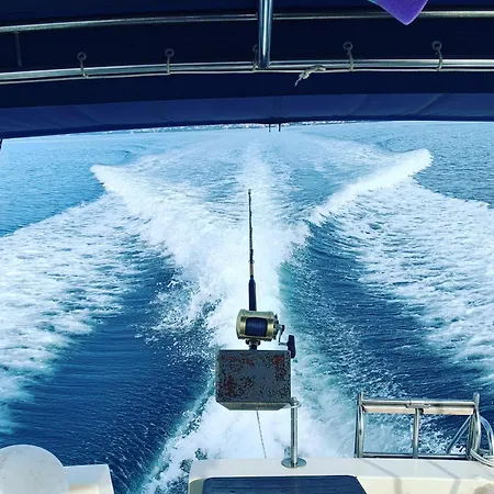 Villa Tribalj فيلة