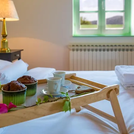 Villa Tribalj فيلة