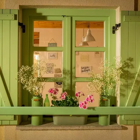 Villa Tribalj فيلة *