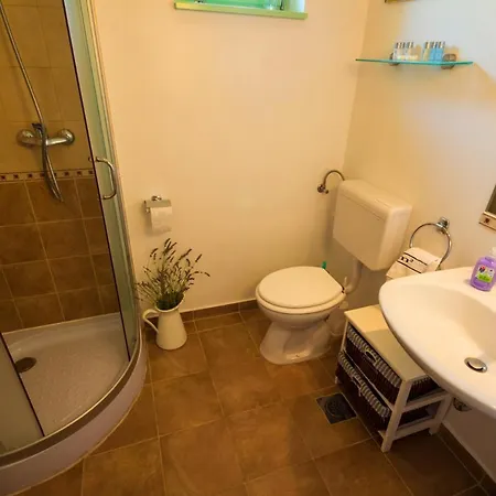 فيلة Villa Tribalj Tribalj (Primorsko-Goranska)