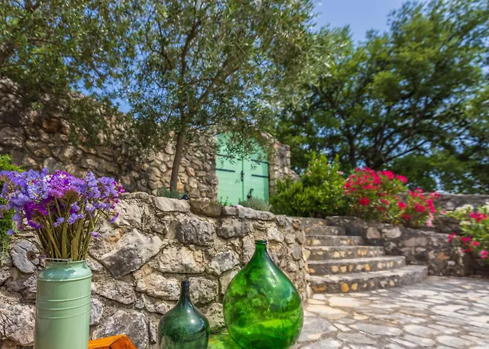 Villa Tribalj فيلة *