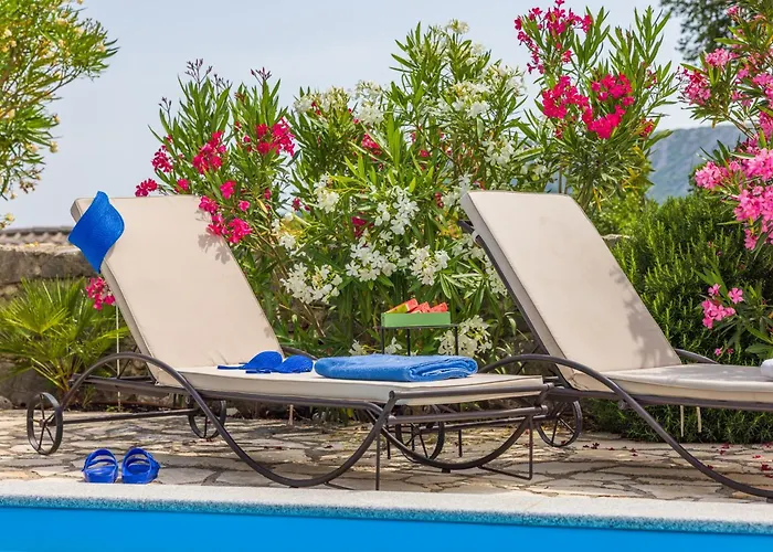 Villa Tribalj فيلة *